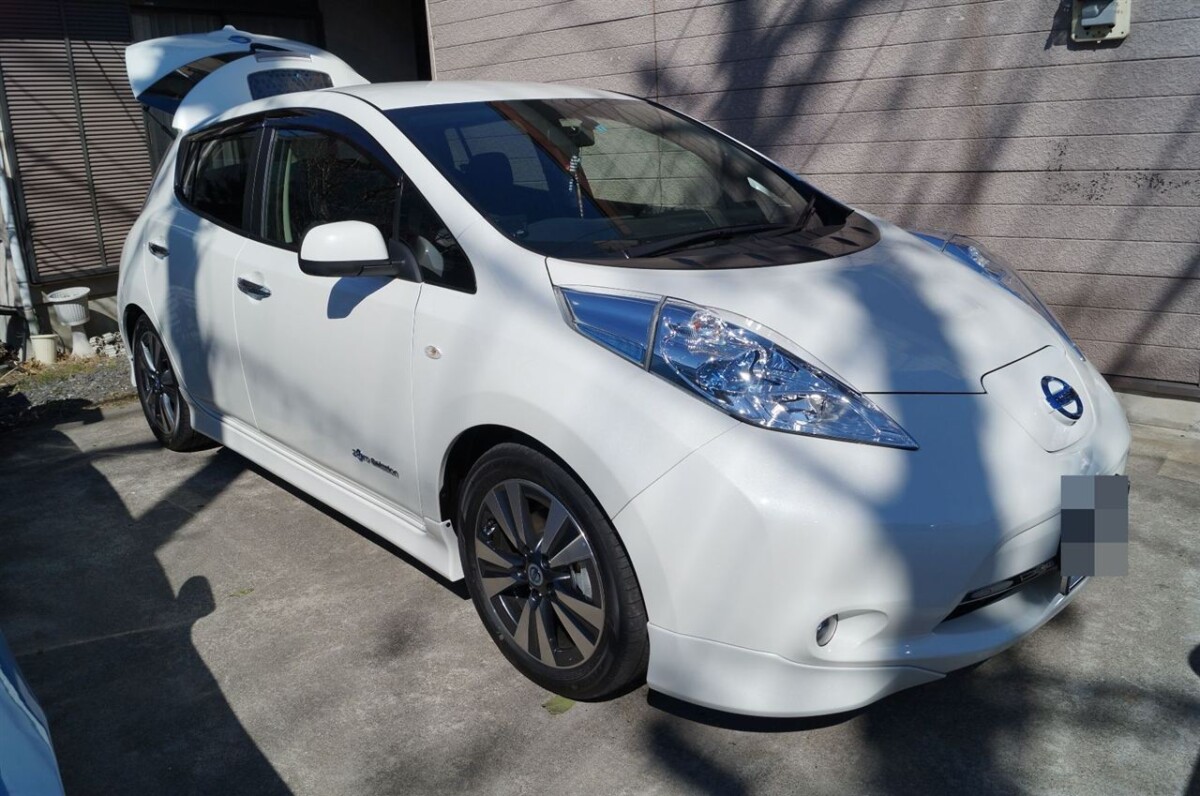NISSAN LEAF LEDs installed in various areas